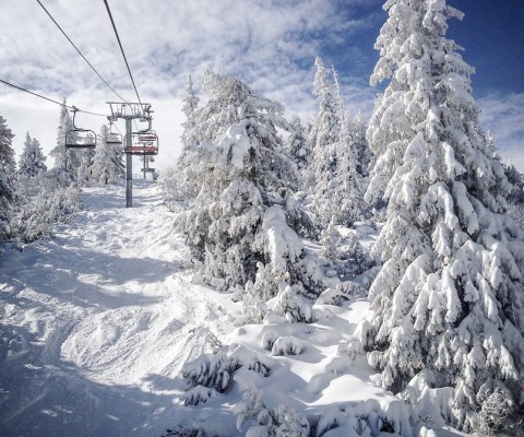 28.02-02.03.2015г. Зимен Лагер 2015 (к.к. Боровец)